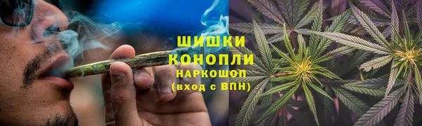 сатива Билибино