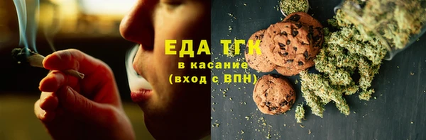 ПСИЛОЦИБИНОВЫЕ ГРИБЫ Новозыбков