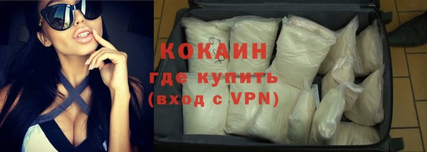 мдпв Бикин