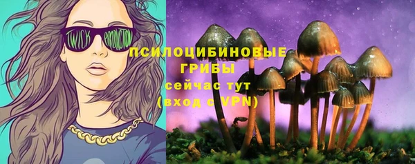 MDMA Верхний Тагил