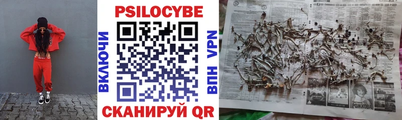 hydra как войти  Олонец  Галлюциногенные грибы мицелий 